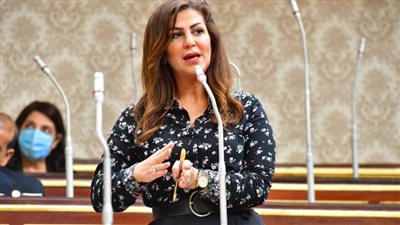ضياء رشوان يعين الدكتورة دينا عبد الكريم رئيسًا لوحدة حقوق الإنسان