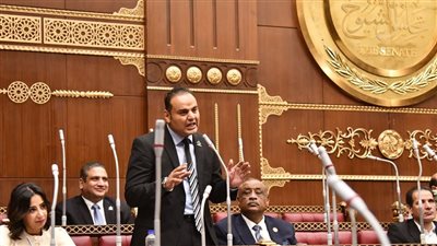 بعد حادث بائعة الشاي.. الليثي يطالب الحكومة بخطة عاجلة لتنظيم العربات المتنقلة