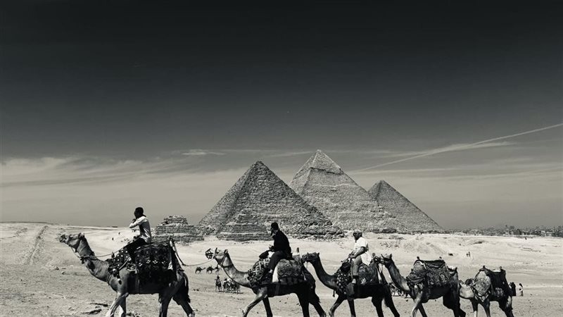 معرض جامعة القاهرة