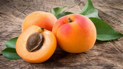 هل بذور المشمش سامة؟ مخاطر حبات النواة وأعراض التسمم بالسيانيد