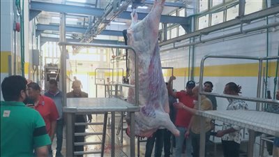 بتكلفة ٢٧ مليون جنيه.. بدء التشغيل التجريبي لمجزر قلمشاة بمحافظة الفيوم