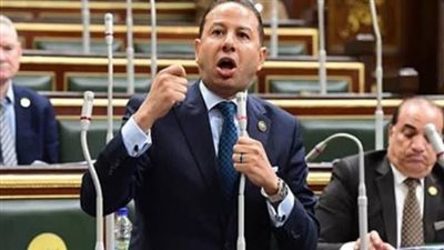 حسن عمار: 30 يونيو أعادت رسم ملامح الدولة المصرية وأغلقت أبواب الفوضى