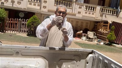 بيطري دمياط يحصن 51 كلبا حرا بمدينة رأس البر للوقاية من السعار