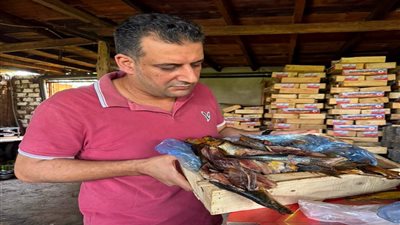 ضبط طن ونصف رنجة غير صالحة للاستهلاك بالغربية قبل طرحها بالأسواق