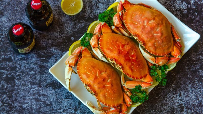 طريقة عمل الكابوريا