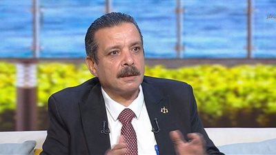 خبير شؤون الجماعات الإرهابية: أبطال في الظل يحمون مصر من عمليات إرهابية خطيرة