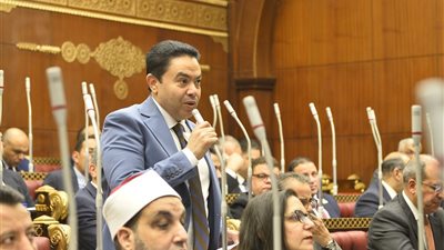 الشرقاوي: 30 يونيو أنقذت مصر.. والتحدي الآن هو تحسين معيشة المواطن| خاص