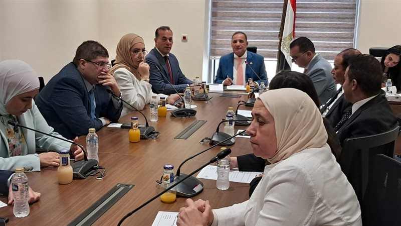 لجنة الشئون العربية