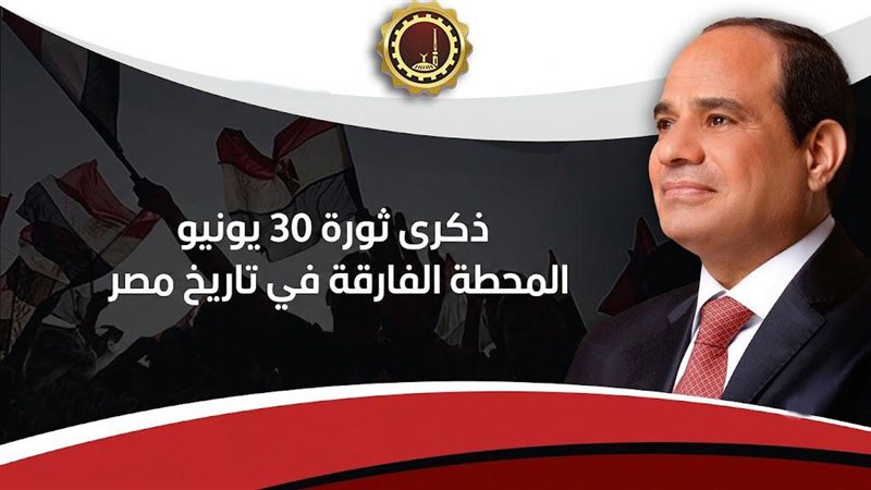 ثورة 30 يونيو 