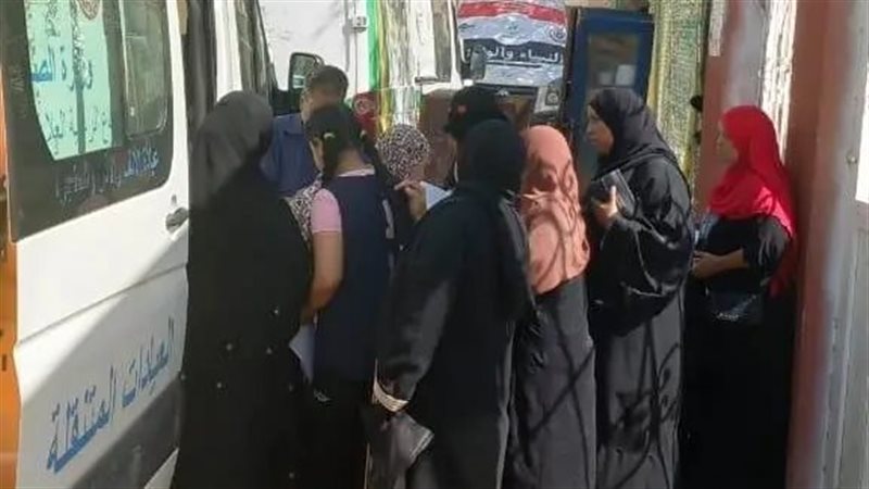 جهود المجلس القومي