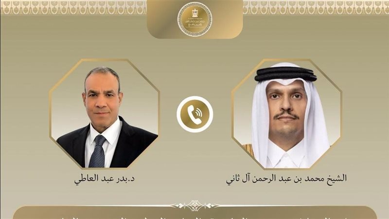 وزيرا خارجية مصر