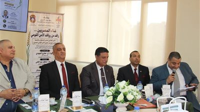 في ندوة بمكتبة المعادي.. خبراء يرسمون خريطة حماية مصر من أزمات المستقبل