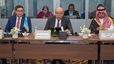 مصر تفوز برئاسة المنظمة العربية للطيران وعضوية المجلس التنفيذي