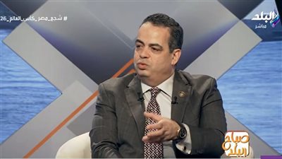 النائب عصام هلال: مواجهة الإرهاب لم تقتصر على الحلول الأمنية