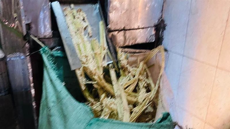 حملات مكبرة بالقليوبية