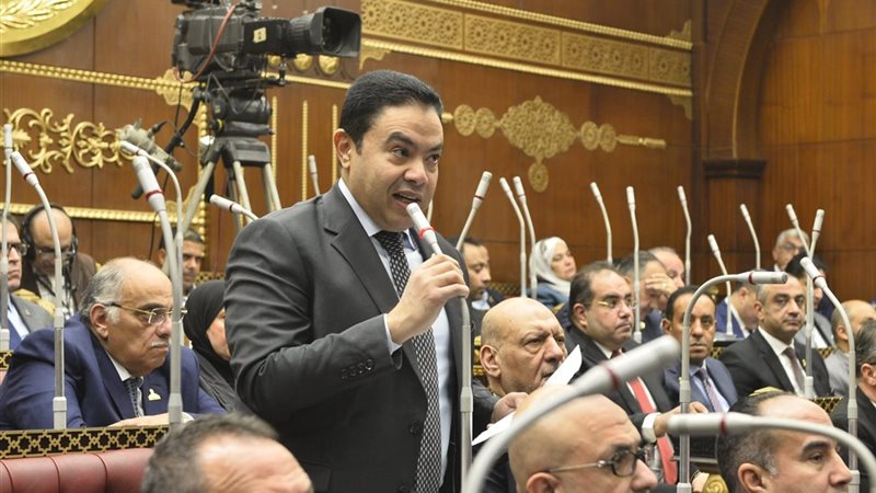 النائب إسماعيل الشرقاوي