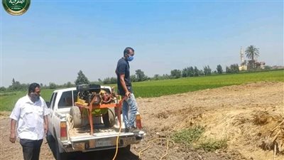 بعد مصرع سيدة وصغير..محافظ الشرقية يوجه بحملة مكبرة لمواجهة مخاطر الثعابين 