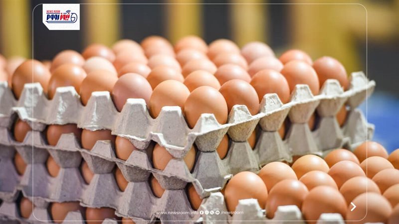سعر كرتونة البيض
