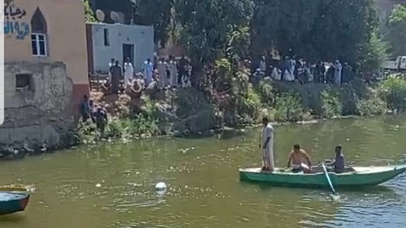 من عمليات البحث