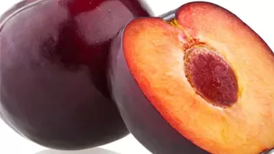 لن تتوقع فوائد البرقوق.. كنز غذائي يدعم صحة الجسم ويعزز الهضم