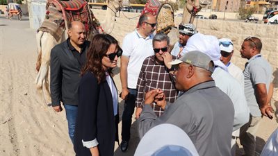 محافظة الجيزة تتابع انتظام منظومة ركوب الخيل والجمال بالأهرامات