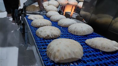 ضبط 308 بطاقات تموينية و4 آلاف رغيف خبز في حملات تموينية بالغربية 