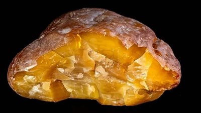 اكتشاف نادر.. روسيا تعثر على قطعة كهرمان عمرها 40 مليون عام