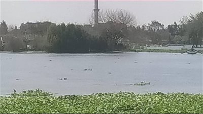 بسبب ارتفاع منسوب المياه.. تحذير رسمي في المنوفية لمتعدي أراضي طرح النهر