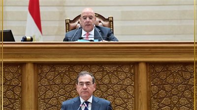 «النواب» يقر اتفاقيتين للتنقيب عن البترول في المتوسط والصحراء الشرقية والغربية