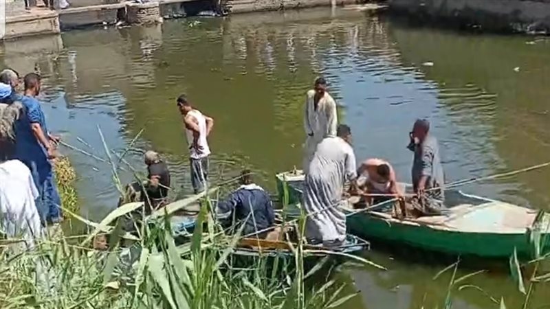 من عمليات البحث 