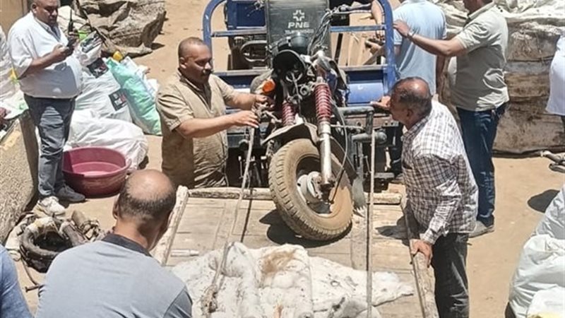 صورة