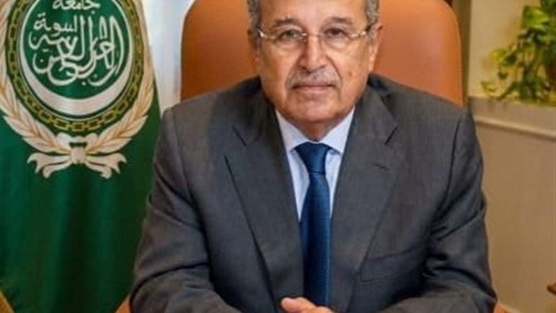 نبيل فهمي الأمين
