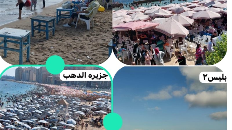جانب من الشاطىء 