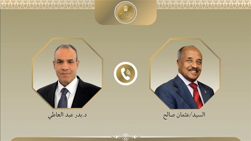 وزيرا خارجية مصر