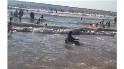 شاشات عملاقة وأعلام مصر استعدادا لتشجيع الفراعنة أمام أستراليا في دمياط