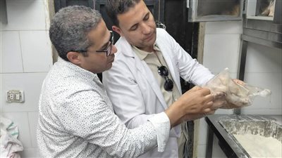 على مدار أسبوع بيطري الشرقية يضبط قرابة 29 طن لحوم ودواجن فاسدة ومجهولة المصدر