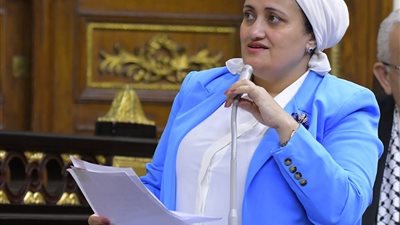 سناء السعيد: أعد ملفاً متكاملاً للنواب لمواجهة 