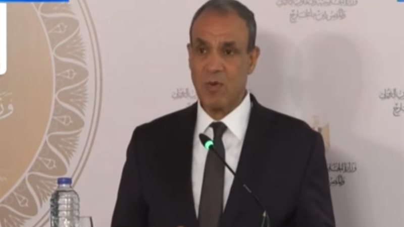 بدر عبدالعاطي