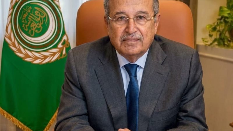 نبيل فهمي
