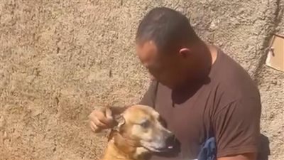 كأنه ما صدق لقاه.. كلب يفاجئ أحد المارة بعناق مؤثر في الشارع