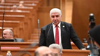 نائب يتقدم بسؤال برلماني لوزير الشباب بشأن تكلفة البعثة الإعلامية للمنتخب الوطني 