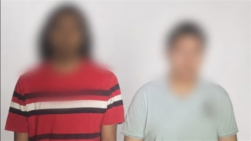 موضوعية 