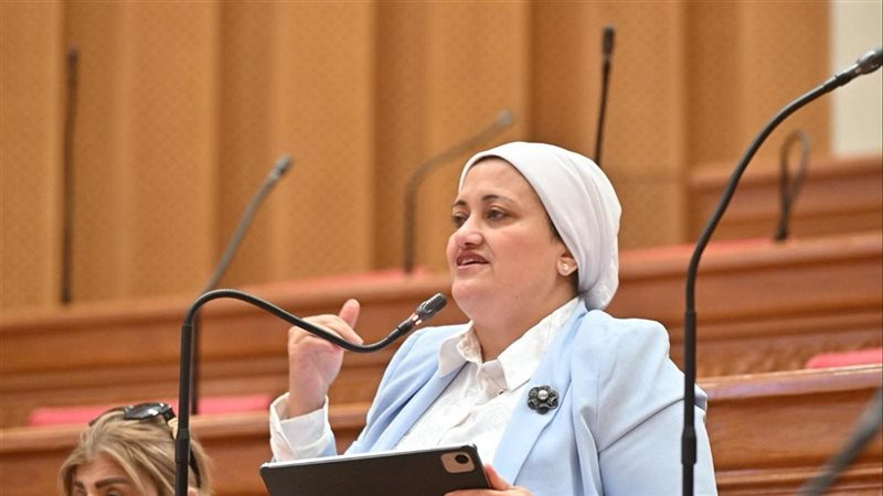 النائبة سناء السعيد