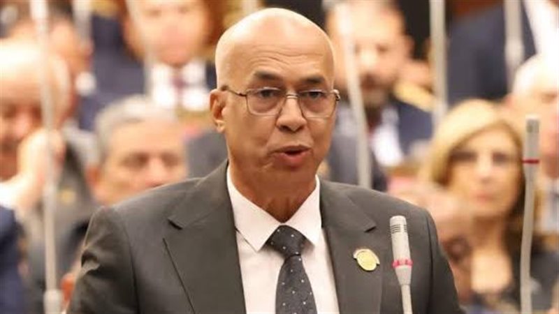 النائب صلاح ربيع