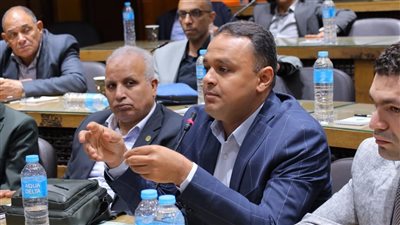 انتخاب المهندس «مينا نظمي» عضوا بالهيئة التأديبية لنقابة المهندسين المصرية