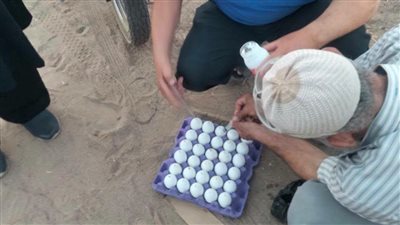 بالبيض المسموم.. حملة مكثفة لمكافحة الثعابين بالرمالي بمركز قويسنا بالمنوفية