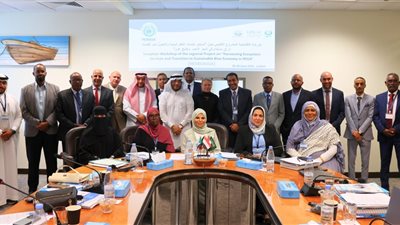 الاقتصاد الأزرق.. مصر تؤكد دعمها للتعاون الإقليمي وحماية الموارد البحرية