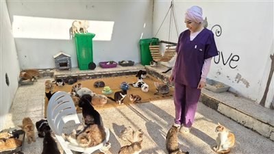 وصية صادمة في بريطانيا.. ثروة بـ800 ألف دولار تذهب للقطط بدلاً من الأبناء