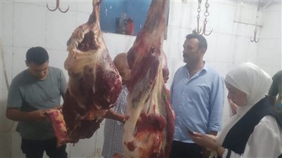 ضبط نصف طن مصنوعات لحوم ودواجن مجهولة المصدر  غير صالحة للاستهلاك بالمنوفية