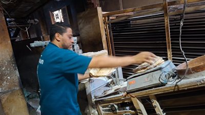 محافظ الغربية يتابع نتائج الحملات التموينية وسلامة الغذاء 